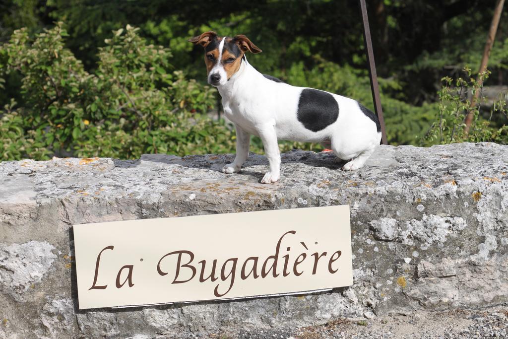 La Bugadiere Salles-sous-Bois Екстериор снимка
